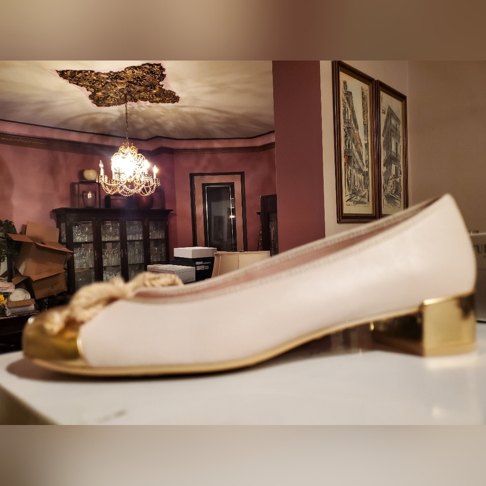 NIB sz 39 Pretty Ballerinas shoes